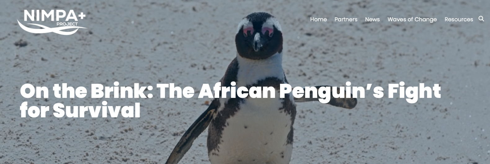 On the Brink_Short Film Cover