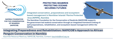 Integrating Preparedness and Rehabilitation: NAMCOB’s Approach to African Penguin Conservation in Namibia