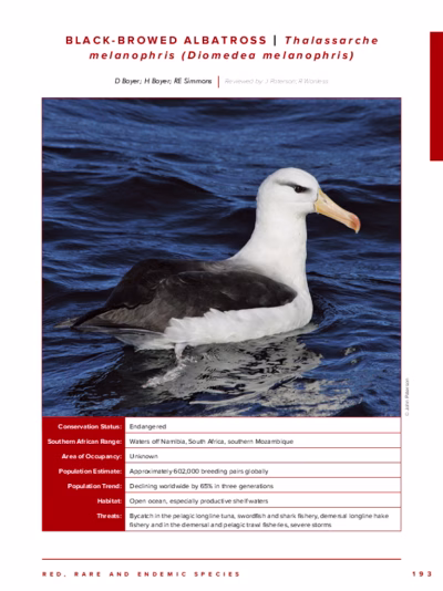 93-Black_browed_Albatross