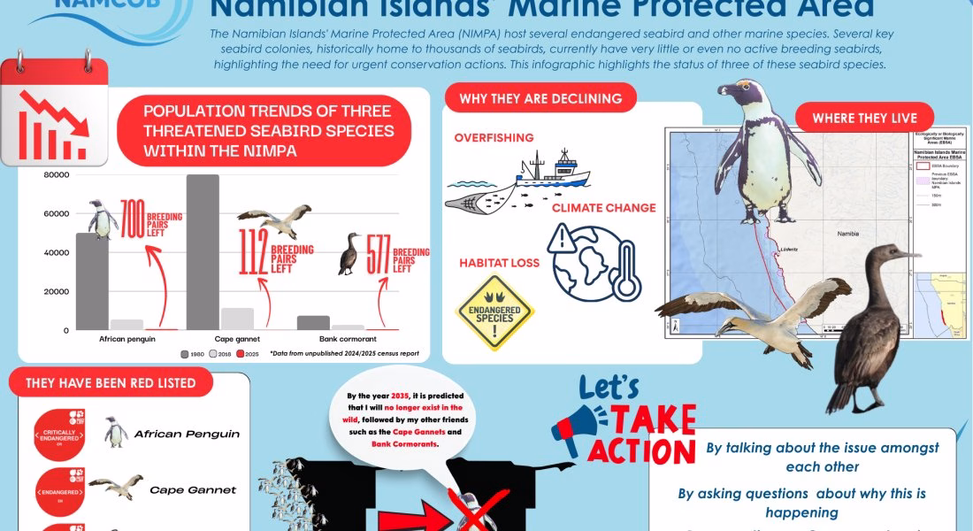 The Status of Threatened Seabirds within the Namibian Islands’ Marine Protected Area (NIMPA)