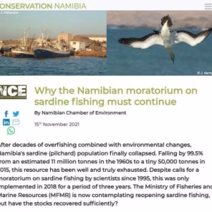Why the Namibian moratorium on sardine fishing must continue