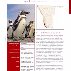 First-page preview of African Penguin — Red Data Book species account