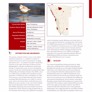 First-page preview of Chestnut-banded Plover — Red Data Book species account