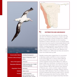 First-page preview of Tristan Albatross — Red Data Book species account